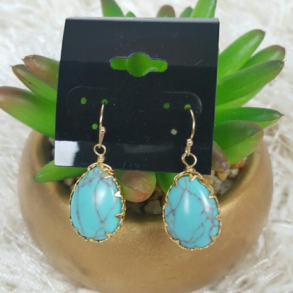 ‎NWT Turquoise Earring